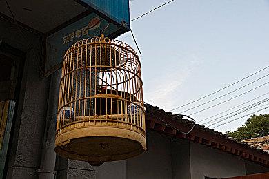 E3 2021：《魅魔》新演示视频 血腥暴力刺激